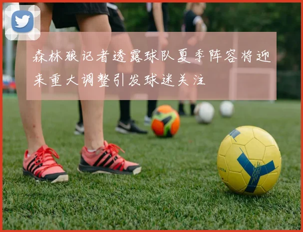 森林狼记者透露球队夏季阵容将迎来重大调整引发球迷关注